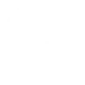 Anatolii Tupkalo portfolio logo